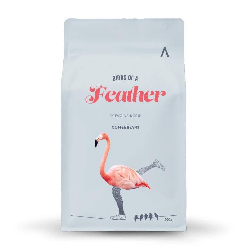 Evolve North Birds of a Feather Coffee 500g