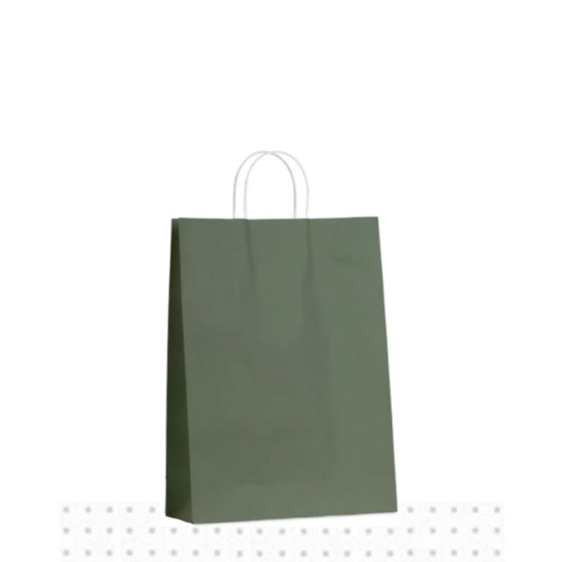 Paper Carry Bag Medium Earth Green