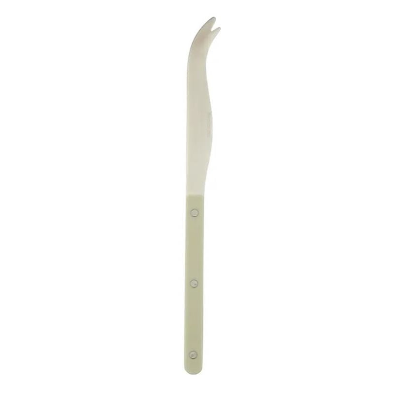 Remy S/Steel Cheese Knife Seafoam