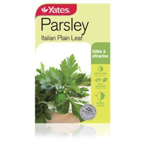 Yates Parsley Italian Plain Leaf Seeds