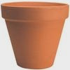 Northcote Pottery 12cm Terracotta Italian Pot