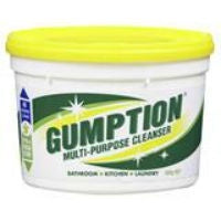 Gumption Paste Multi Purpose Cleanser 500g