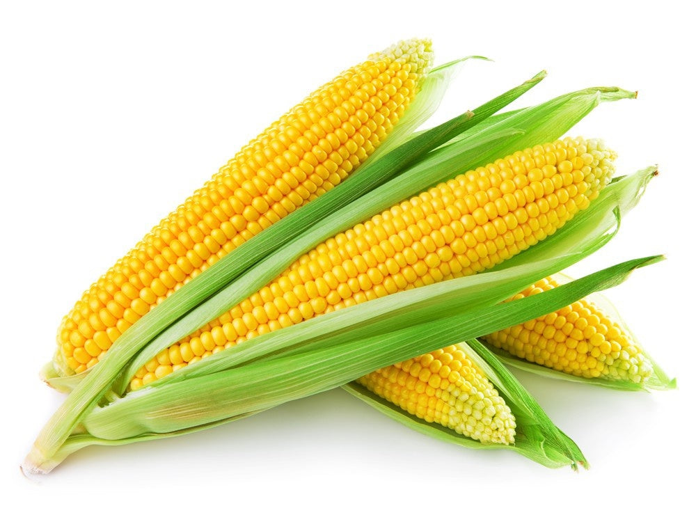 Corn Sweet Each