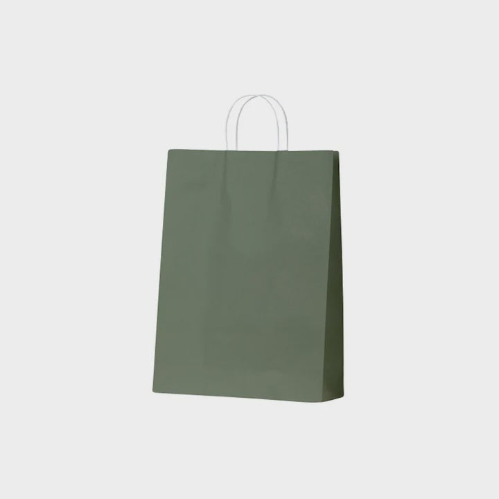 Paper Carry Bag Large Earth Green