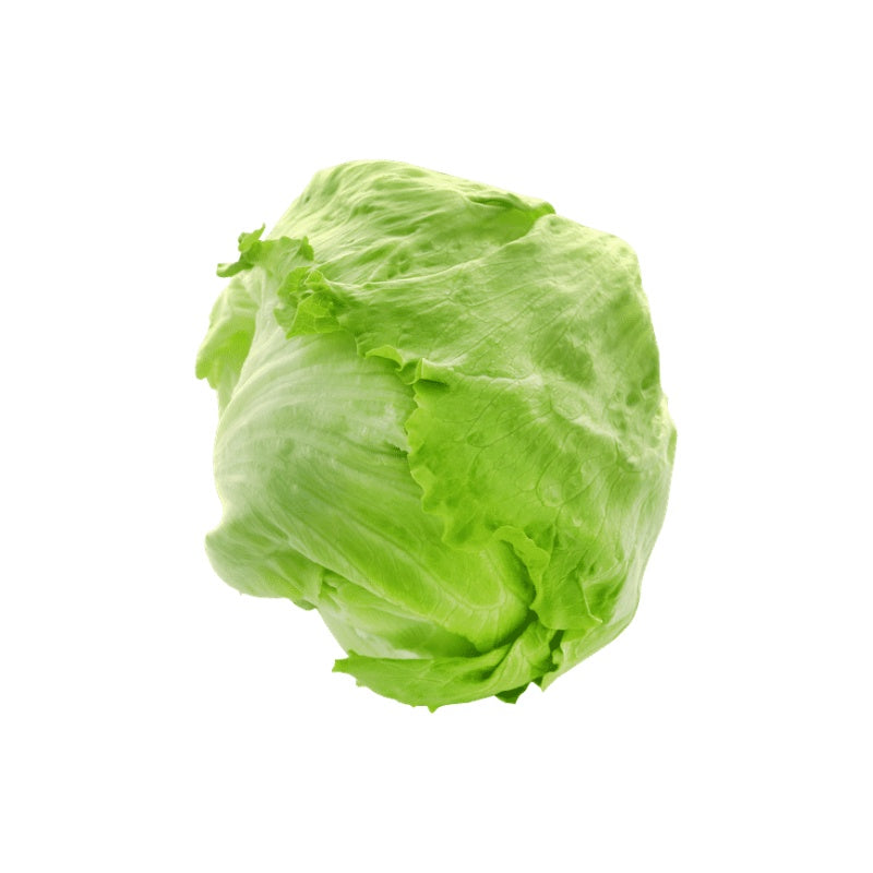 Lettuce Iceberg 1pk