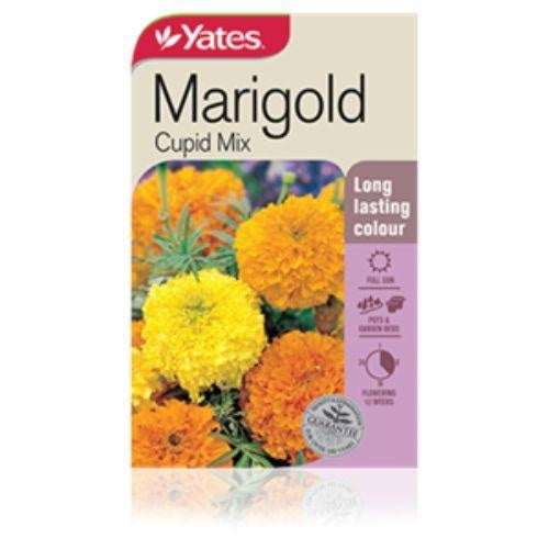 Yates Marigold Cupid Mix Seeds