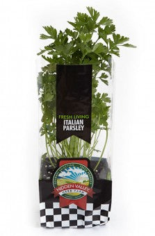 Pohlmans Hidden Valley Potted Parsley 100mm